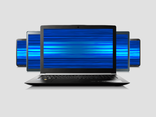 Fast Internet by Bell Small Business