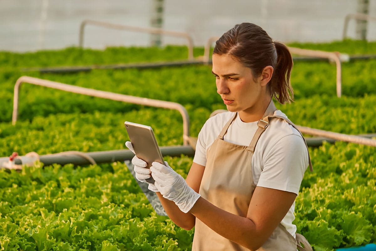 A female farmer wearing protective gloves and using a tablet to monitor crops inside a bright, modern greenhouse.