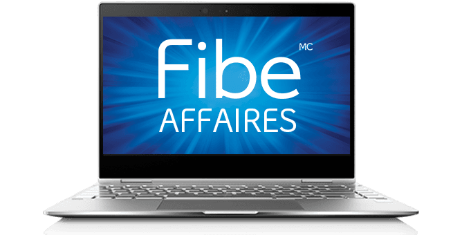 Internet d'affaires Fibe 300