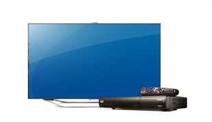 Bell Business TV support